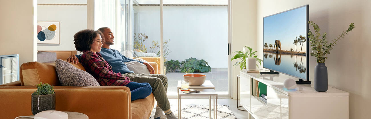 a couple on a couch watching TV